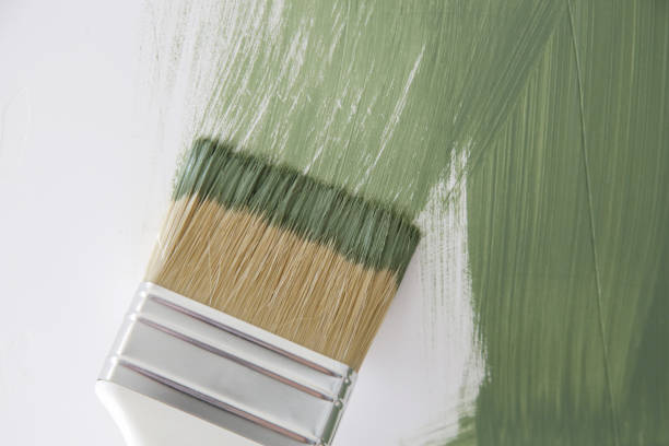 Best Dehumidification Services  in Colwich, KS