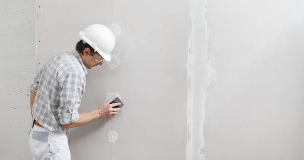 Biohazard Mold Removal in Colwich, KS