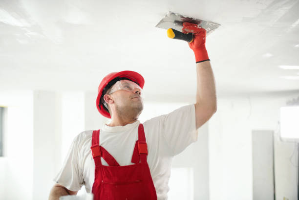 Reliable Colwich, KS Mold Removal Solutions